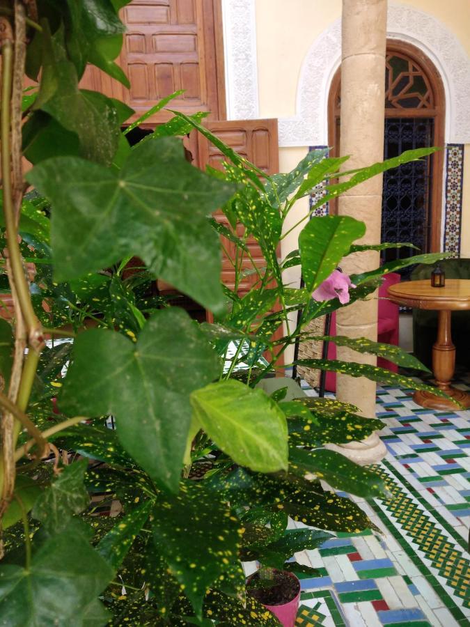 Riad Dar Zouhour Rabat Exterior photo